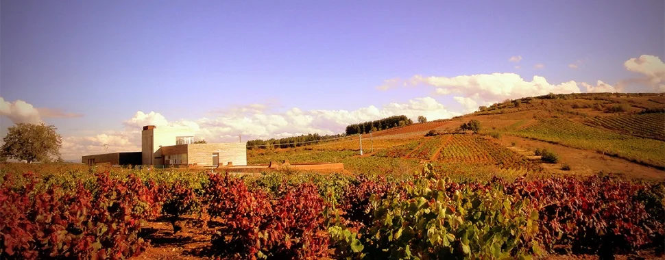 Losada Vinos de Finca.