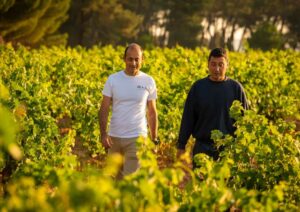 Dos personas caminan entre hileras de viñedo en Dominio de Greda, proyecto vitícola centrado en el territorio.