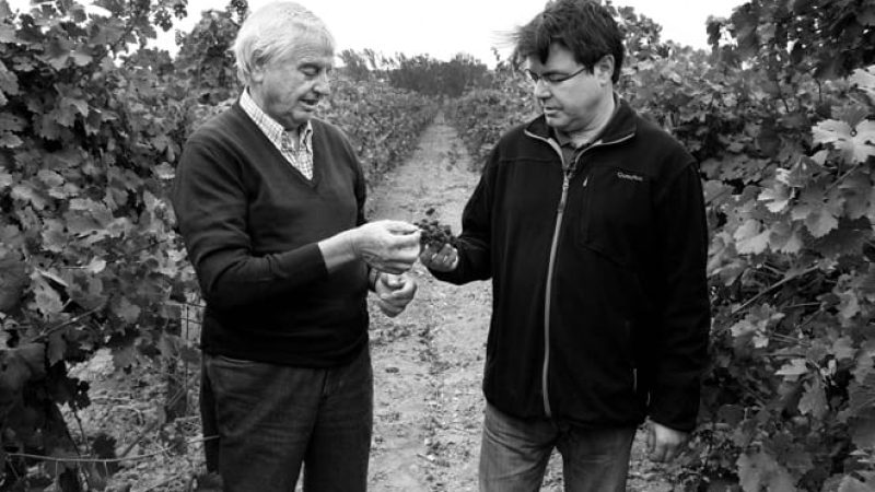 Pago de los Balagueses - Sommelier Express