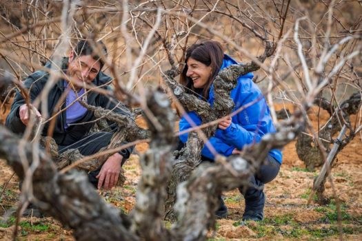 Dos personas revisan cepas viejas en un viñedo de Dominio de Greda, proyecto centrado en conservar y recuperar viñedo antiguo.