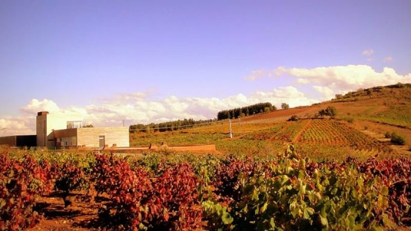 Losada Vinos de Finca.
